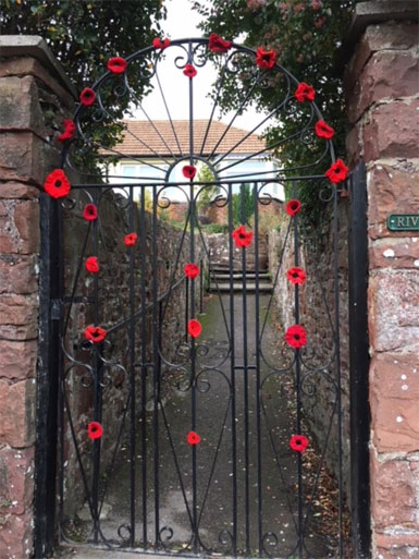 WW1 Poppies Bishopsteignton