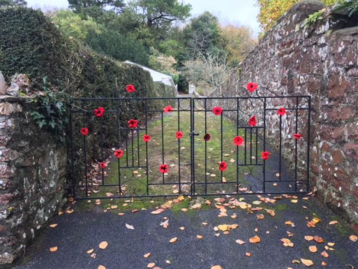 Poppies WW1 Commemoration Bishopsteignton