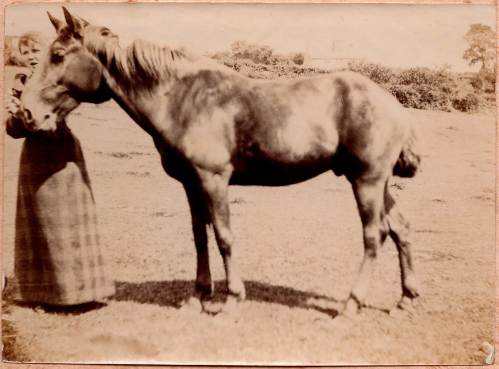 Delamore Lady with Horse