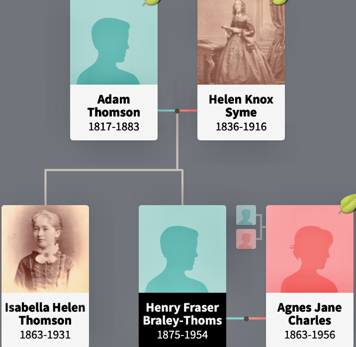 Section From Thomson Family Tree