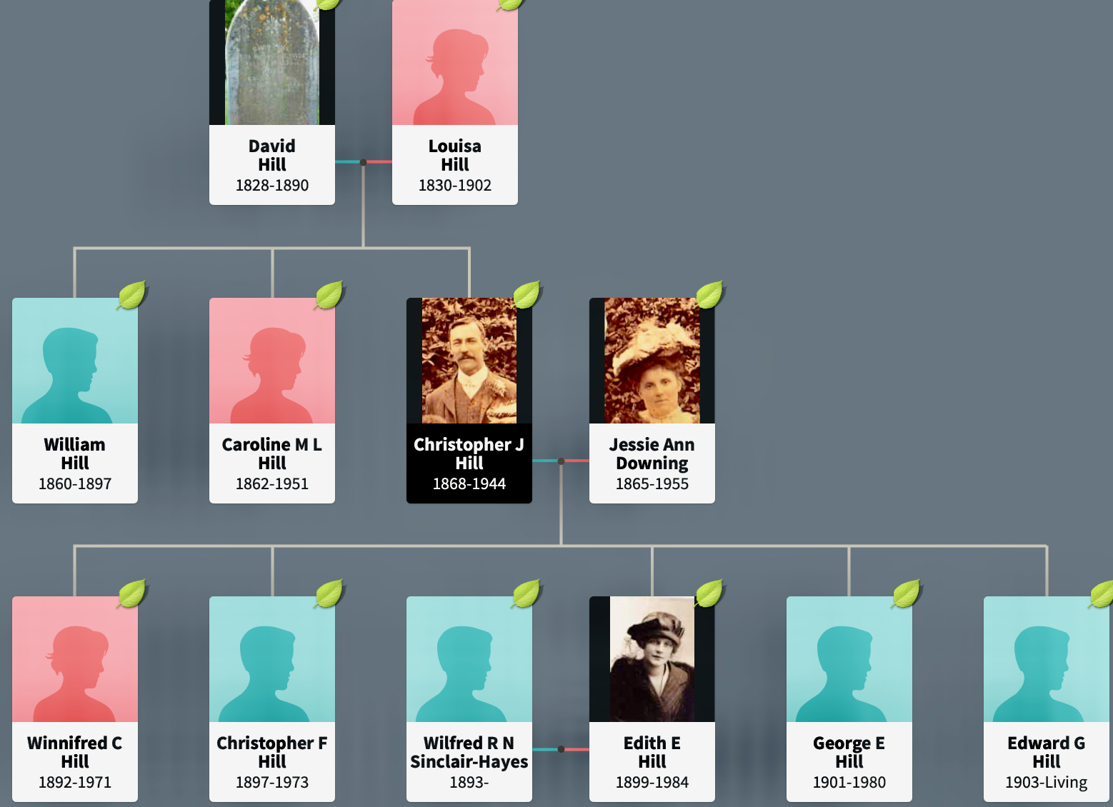 Section of Hill Family Tree