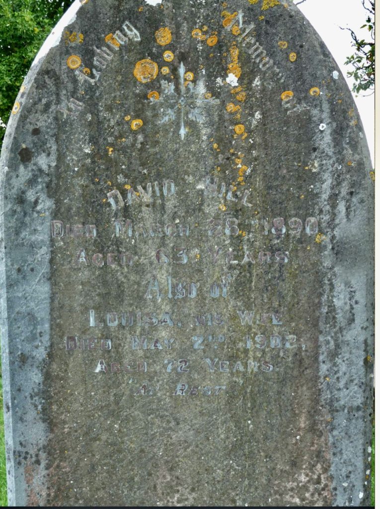 David and Louisa's Grave, Bishopsteignton