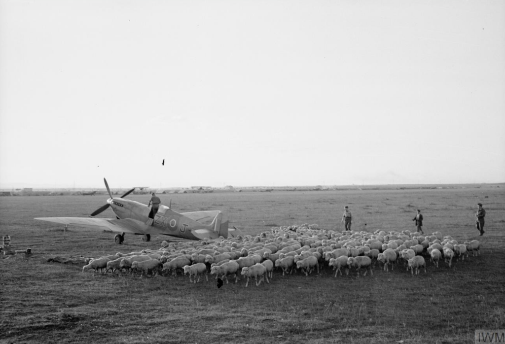 145 Sqn Italy
