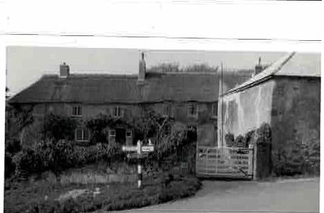 Ashill Farm 1965 