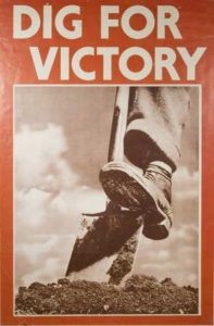 Dig for Victory poster
