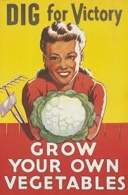 Vegetables