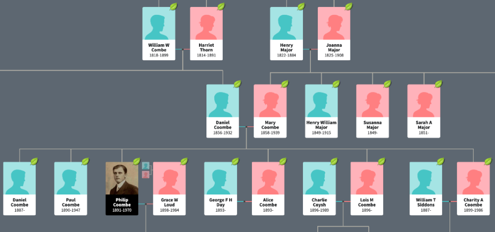 Part of the Coombe family tree.