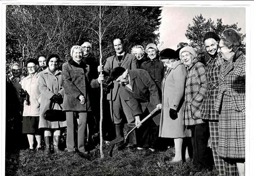 WI Tree planting at Clanage Cross 1975 1