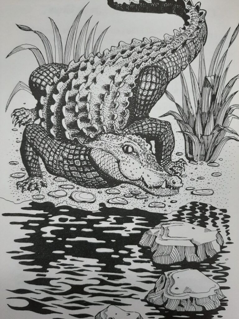 Brenda Gilpin's illustration for 'Crocodile" from Games from an Edwardian Childhood, by Rosaleen Cooper