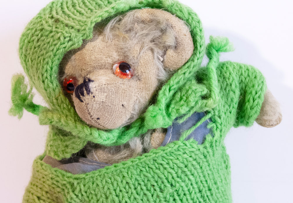 Photograph of a teddy bear belonging to Molly Coombe