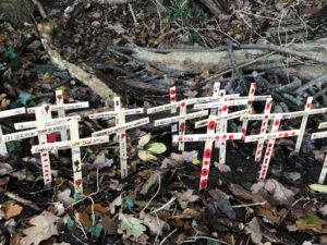 Mini Crosses