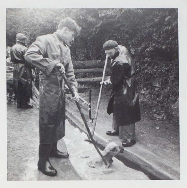 Photograph of Ernest and Ken Dawe sheep dipping at Ash Hill Farm, Bishopsteignton, inscribed in ink on reverse