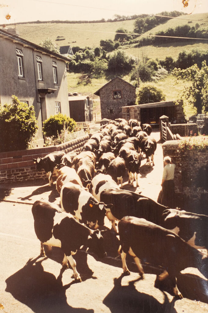 Photograph of Shute Farm