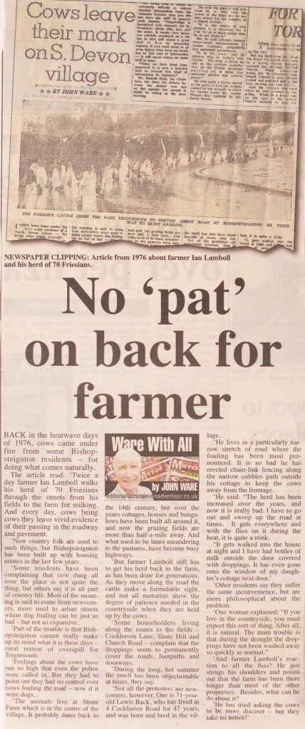 Newspaper clipping on Ian Lamboll and Shute Farm cows