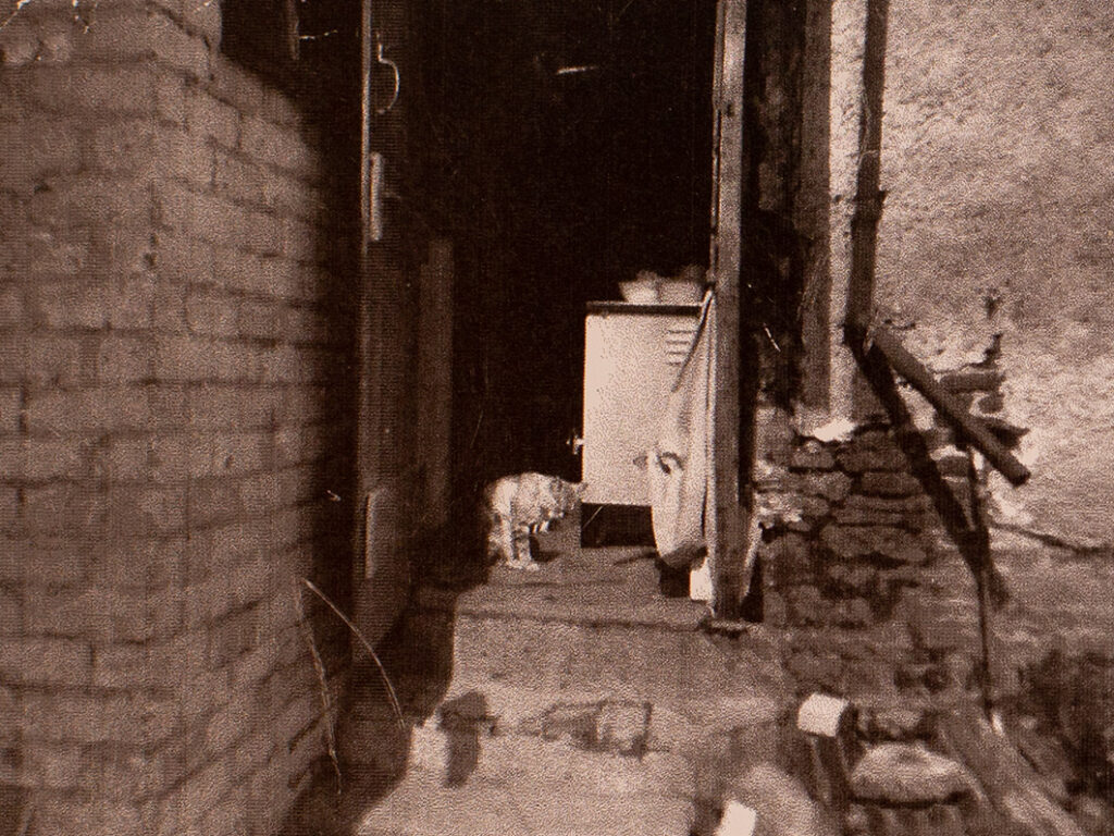 Photograph of the Back of 27 Fore Street, Bishopsteignton