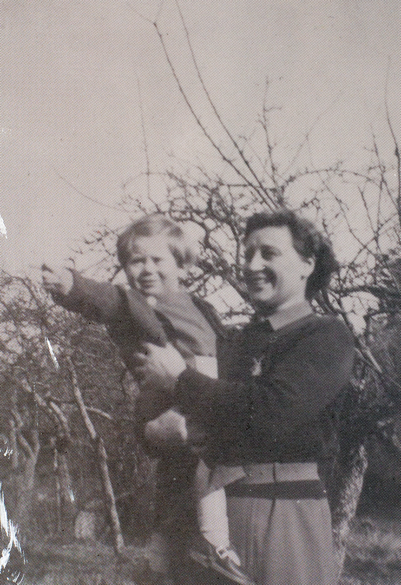 Printed Photograph of Ian Blogg and Kit Ward