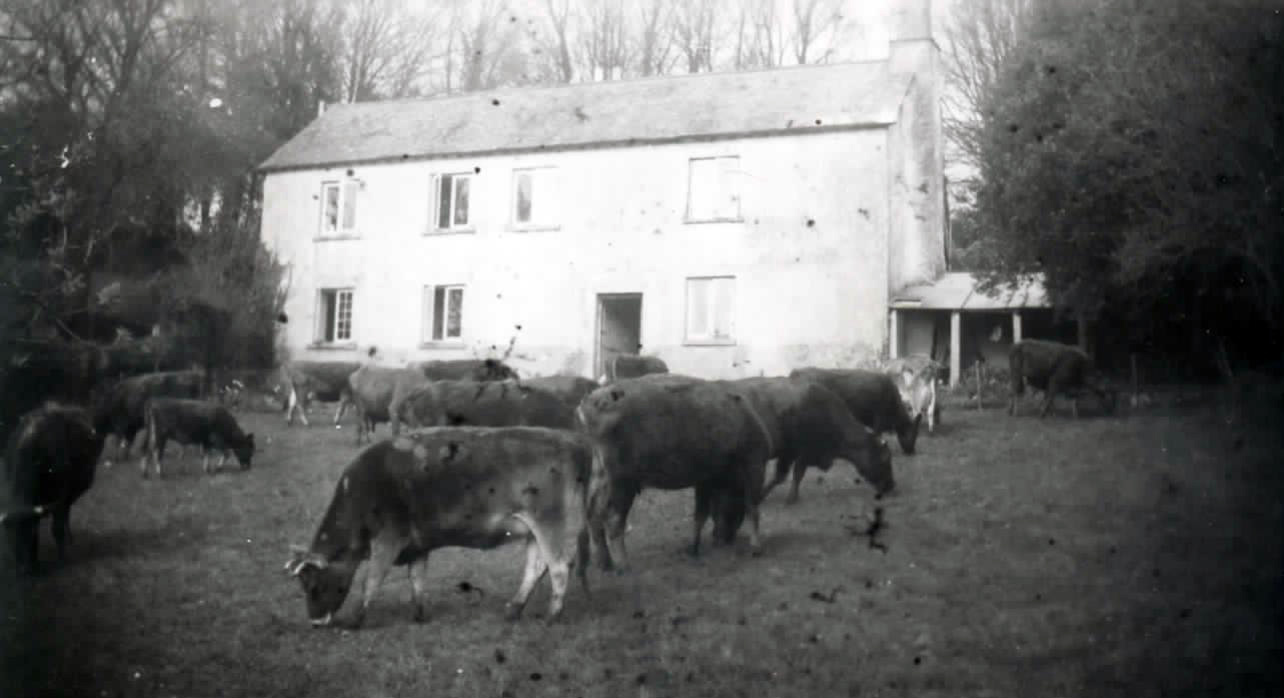 Photograph of Park Farm, Bishopsteignton