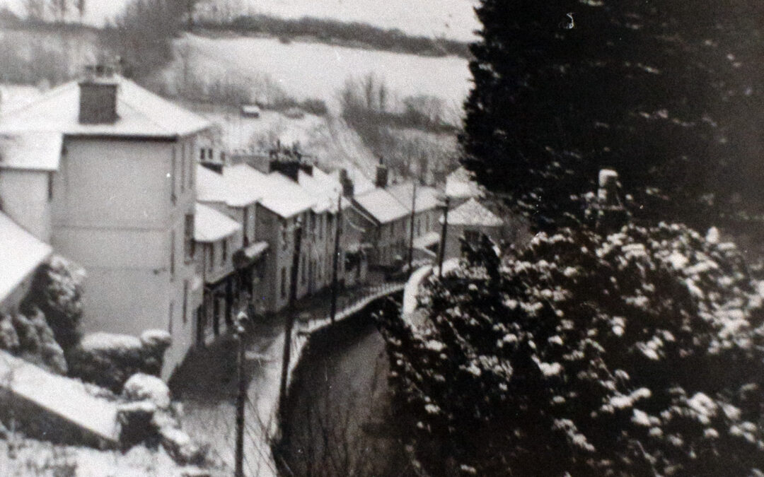 Newsletter December 2025