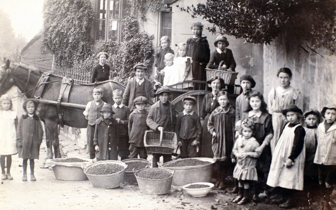 Bishopsteignton Primary School during World War 1
