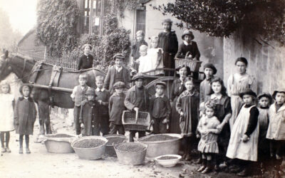 Bishopsteignton Primary School during World War 1