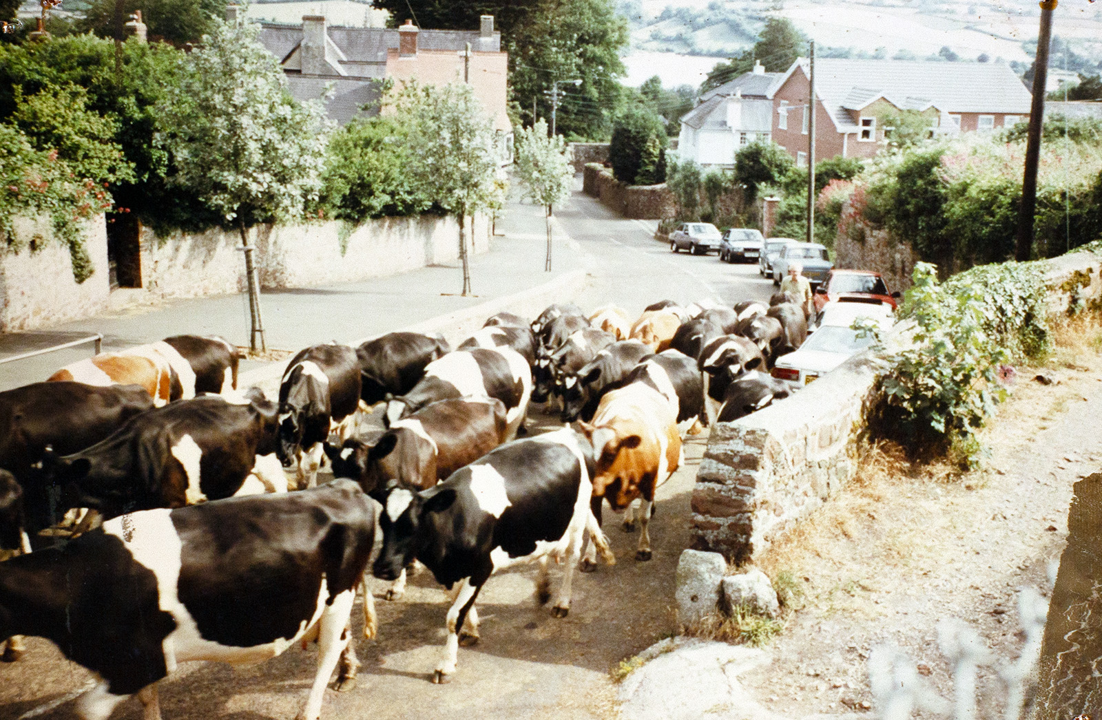 Photograph of Shute Hill, Bishopsteignton