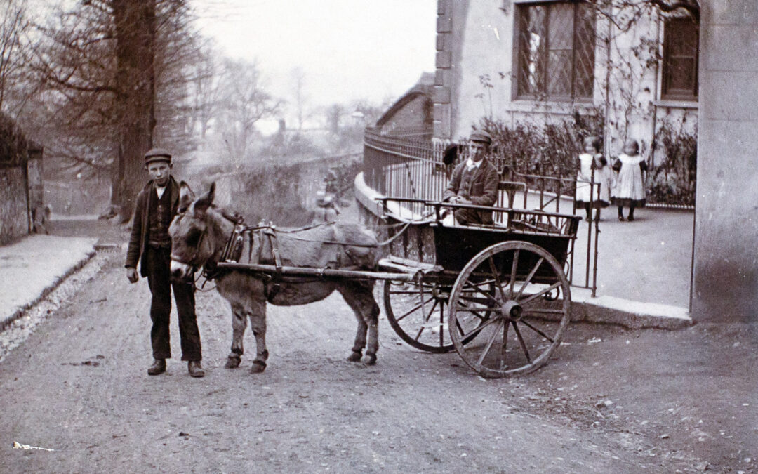 Newsletter October 2025