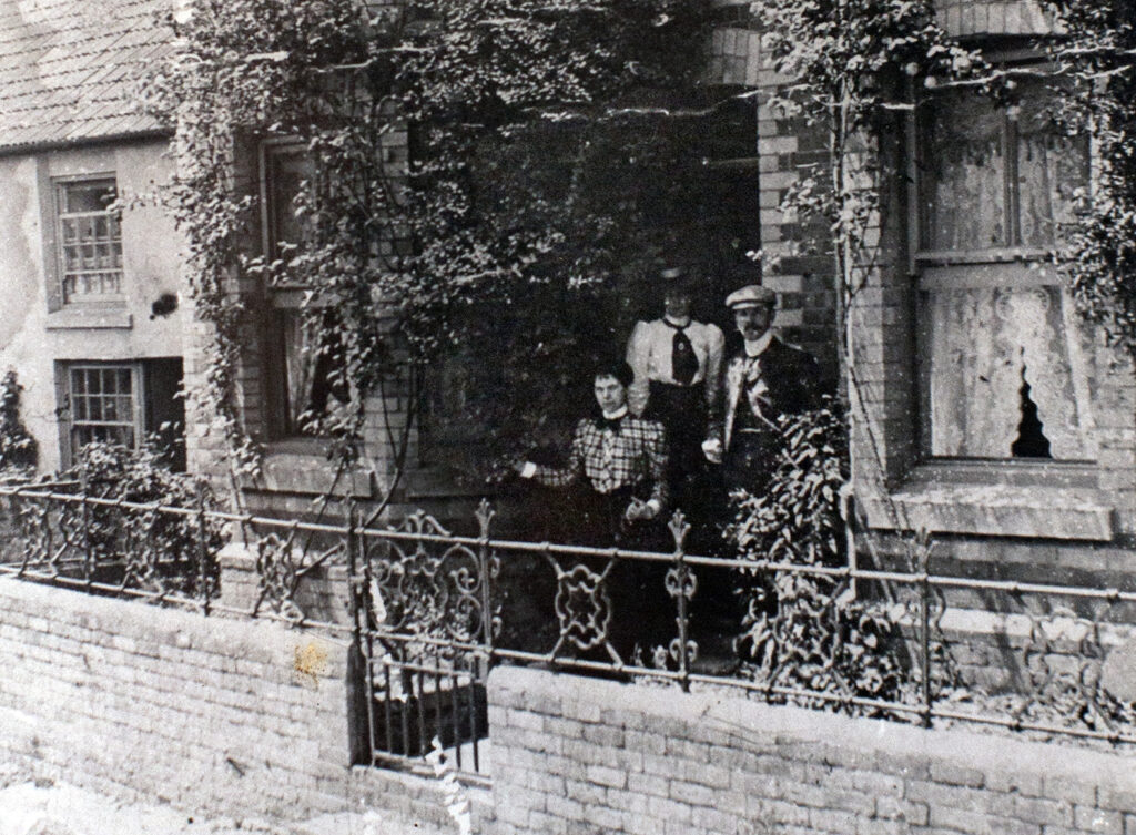 Woodbine featured image