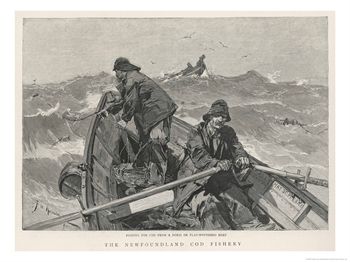 Newfoundland cod fishing boat. Source Wikipedia