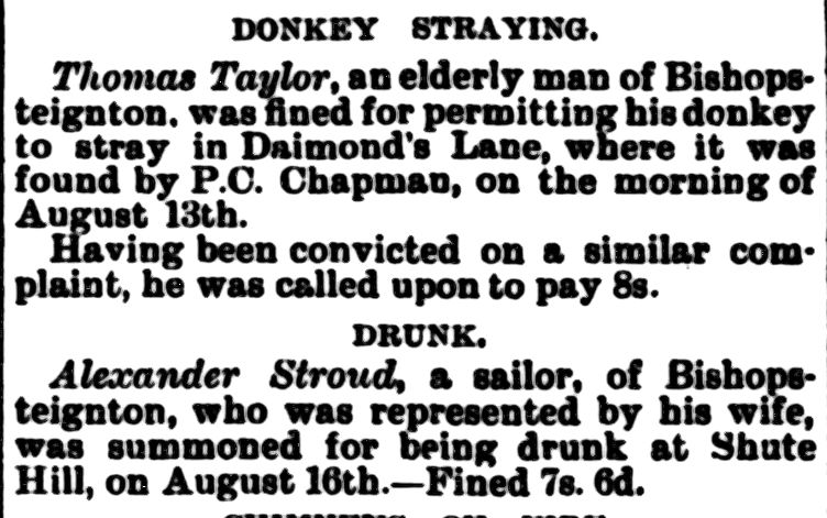 43451 Donkey and drunk Teignmouth Post and Gazette 30 August 1901 0004 Clip